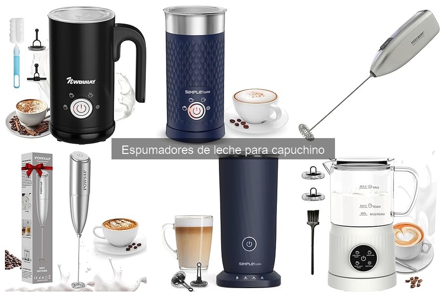 Alternativas económicas al espumador de leche para capuchinos