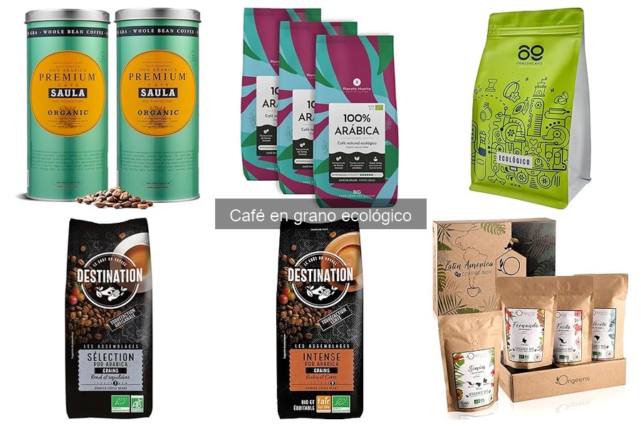 Cómo seleccionar café en grano ecológico: Guía práctica
