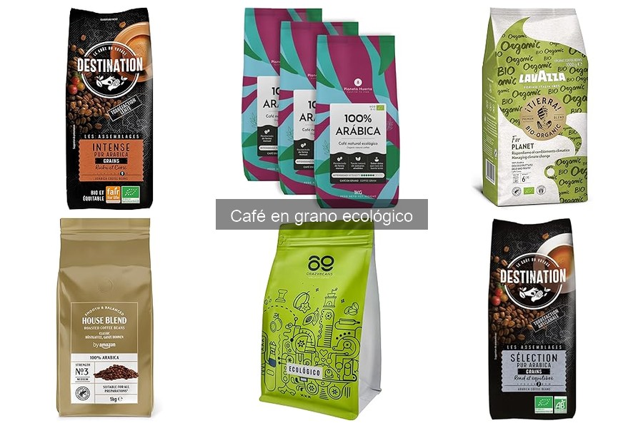 Diferencias entre café ecológico y orgánico: Guía completa
