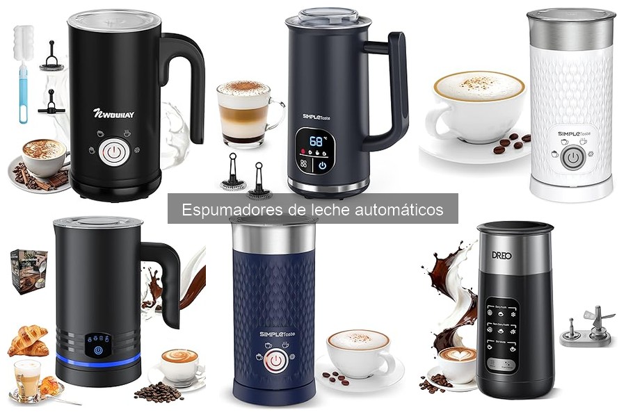 Mantenimiento y limpieza de espumadores de leche automáticos
