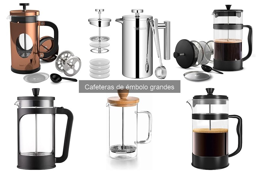 Mejores lugares para comprar cafeteras de émbolo grandes