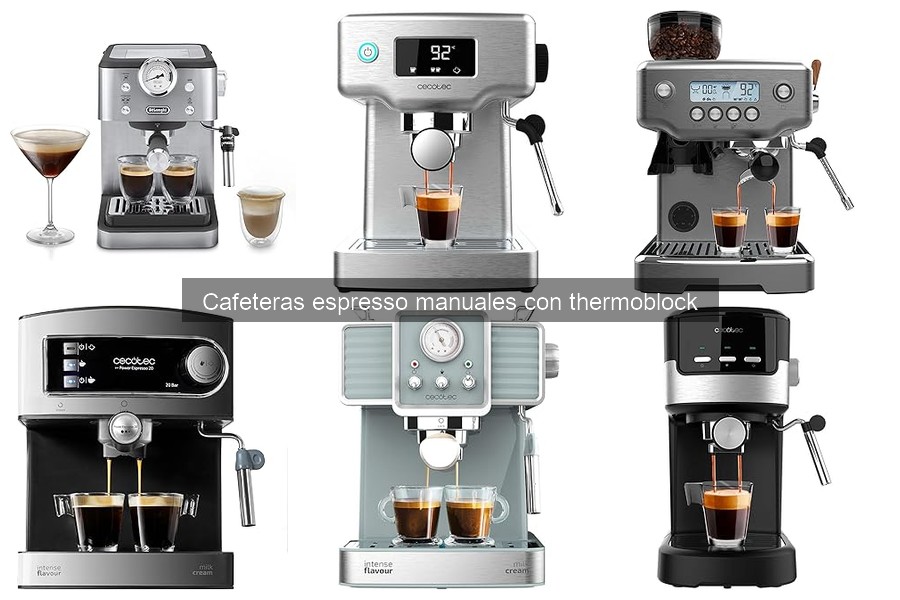 Mejores ofertas en cafeteras espresso manuales con thermoblock