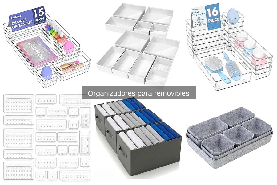 Opiniones sobre los Mejores Organizadores para Removibles