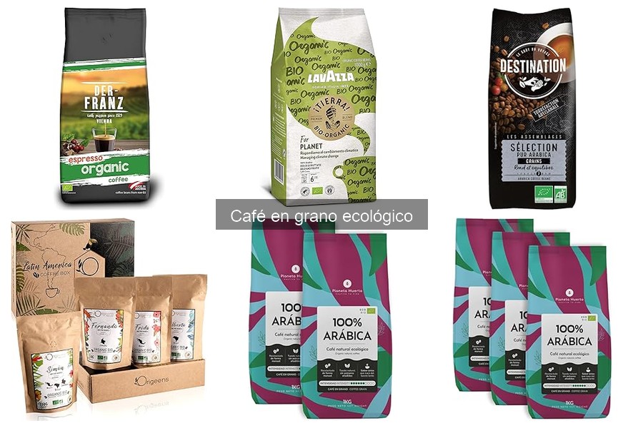 ¿Qué es el café en grano ecológico? Beneficios y características