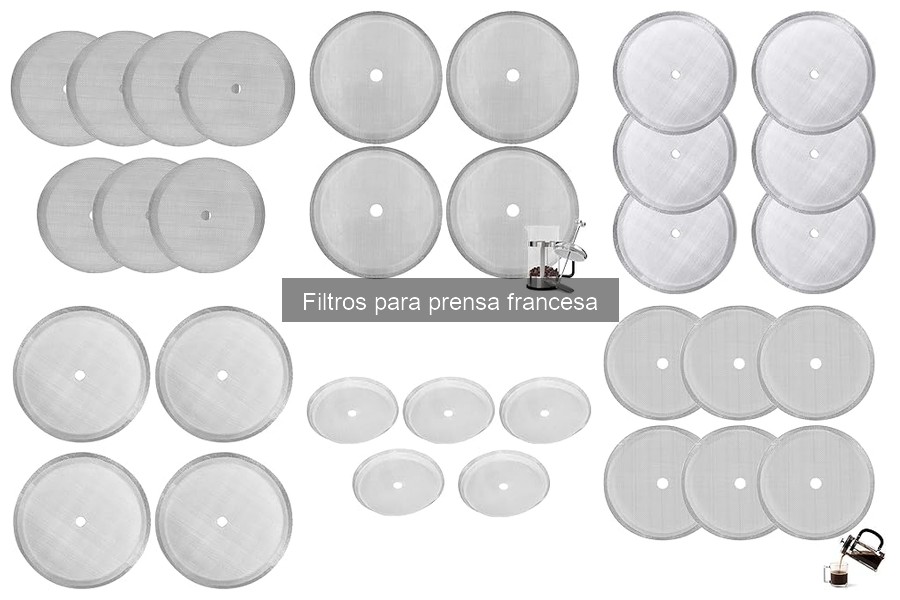 Razones para Cambiar el Filtro de Prensa Francesa