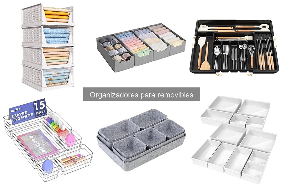 Ventajas y desventajas de los organizadores para removibles